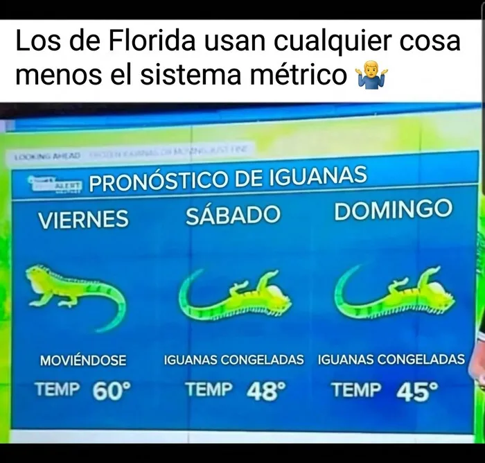 Un meme de un reporte de clima con iguanas congeladas representando el frío de Florida