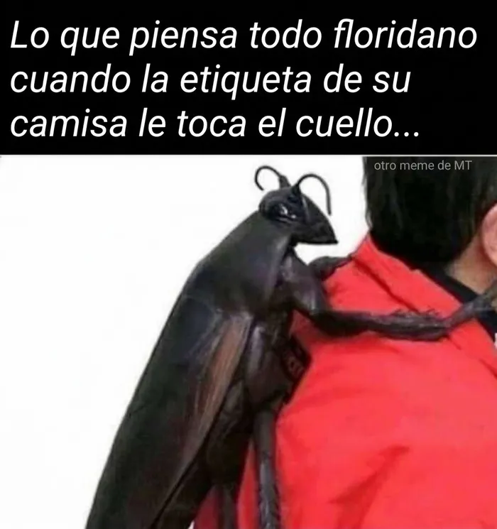 Meme de un insecto gigante en la espalda, reflejando la locura que se vive en Florida.