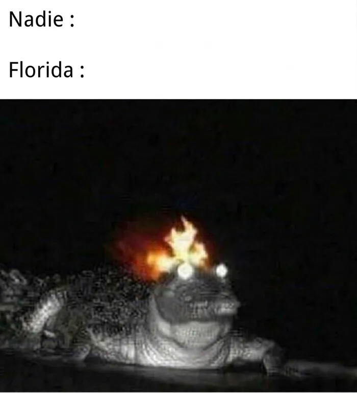 Meme de Florida con un cocodrilo con fuego en la cabeza y ojos brillantes.