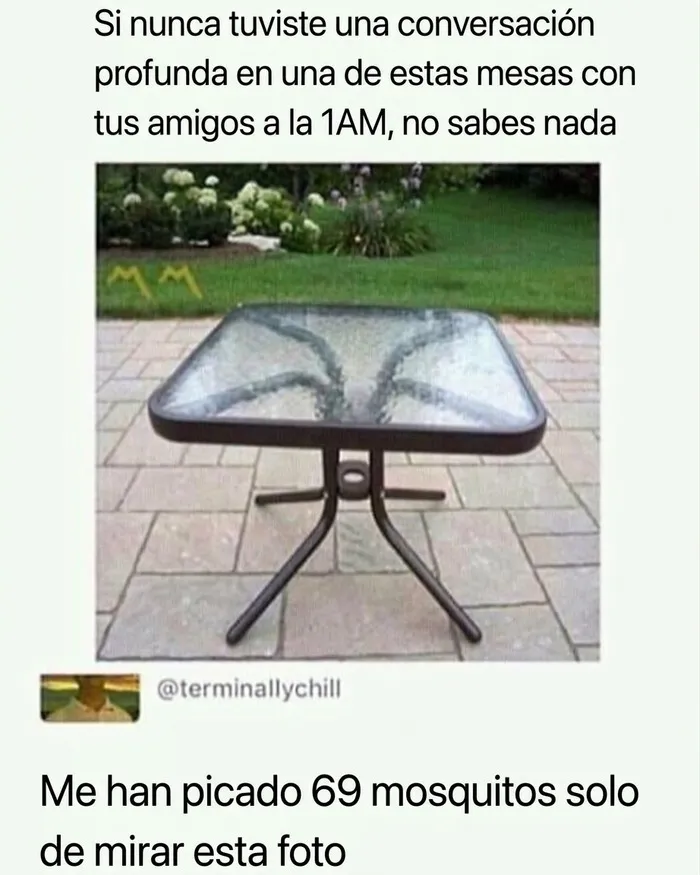 Meme sobre mesa de patio exterior y la gran cantidad de mosquitos en Florida