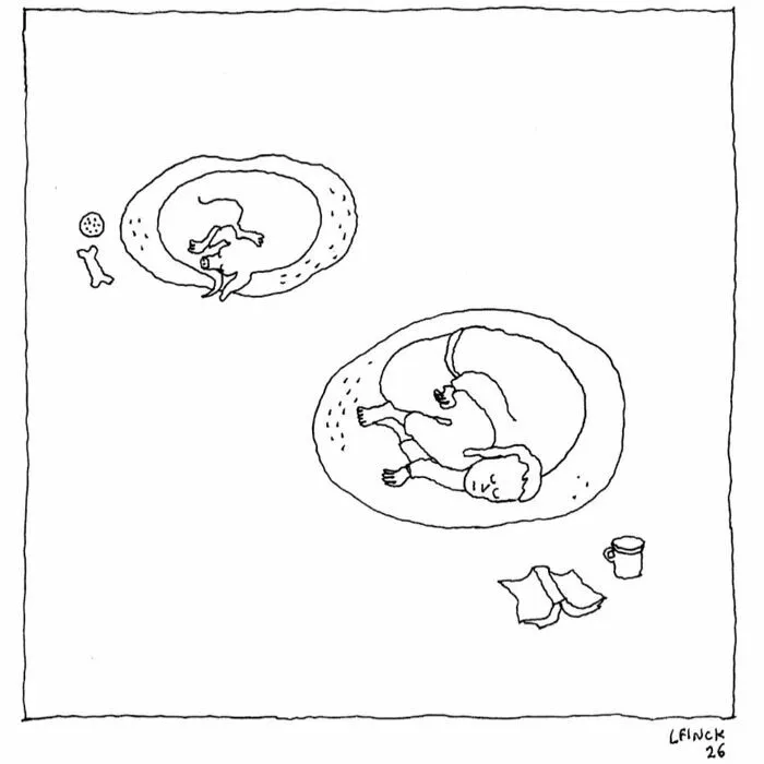 Dibujo de un perro y su dueño durmiendo en camas iguales de ilustraciones ingeniosas sobre la vida moderna