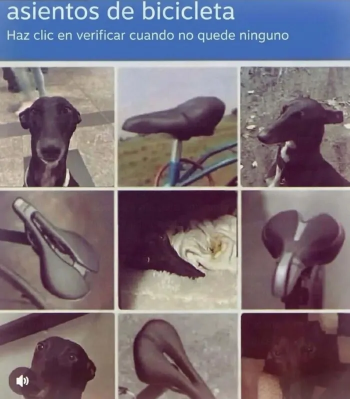 Perros que se parecen a asientos de bicicleta y causan risa y vergüenza ajena
