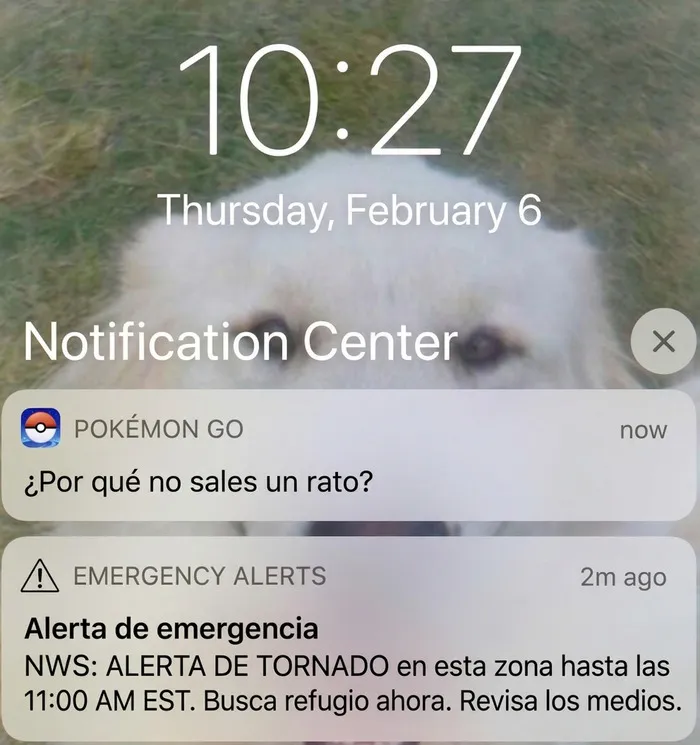 Alerta de tornado y notificación de Pokémon GO que causan risa y vergüenza ajena