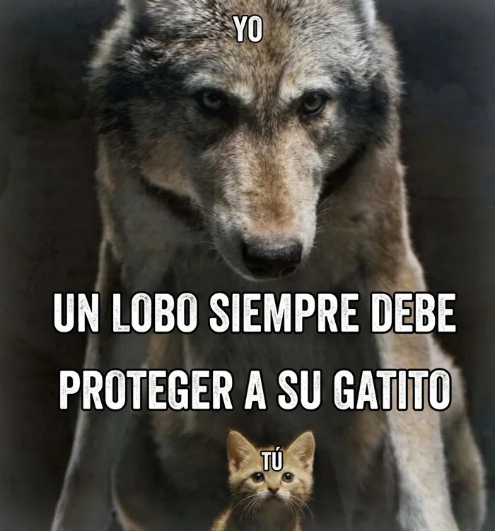 Meme de lobo y gatito que se incluye en publicaciones que causan risa y vergüenza ajena
