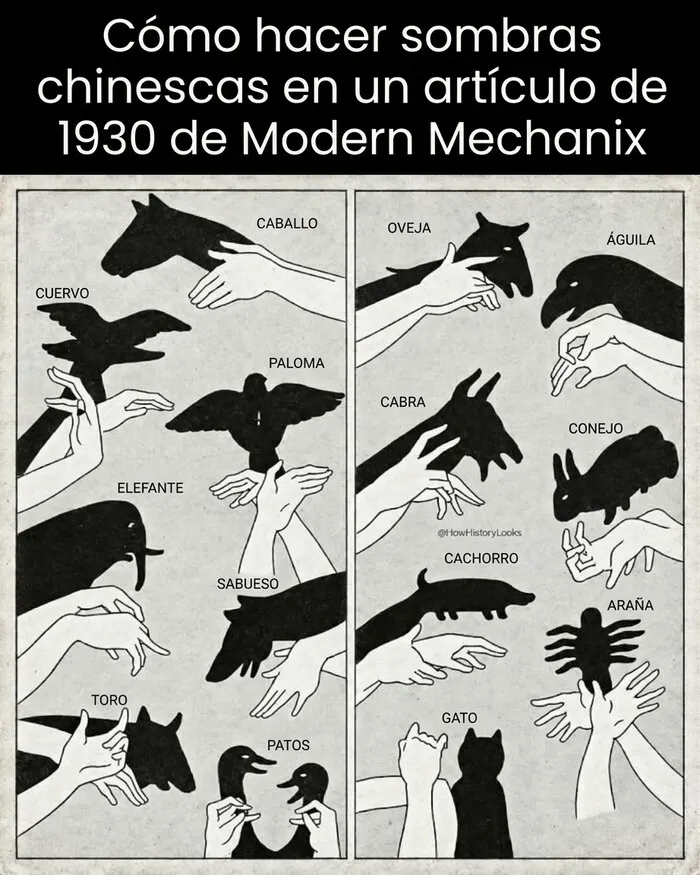 Guía de fotos históricas de sombras chinescas de animales de 1930