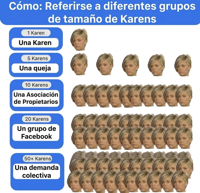 Infografía divertida en español sobre cómo referirse a diferentes grupos de Karens