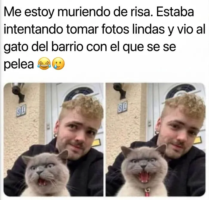 Gato con expresión graciosa junto a su dueño, de publicaciones reconfortantes