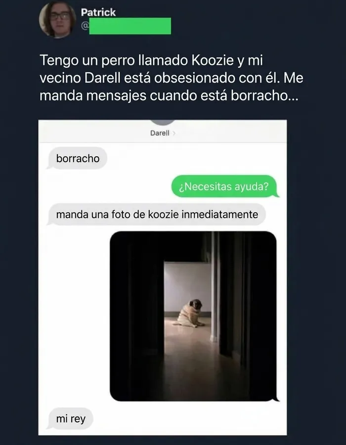 Mensajes divertidos sobre un tierno perro pug, ejemplo de publicaciones reconfortantes