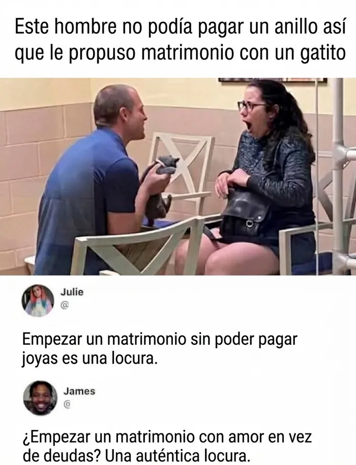 Propuesta de matrimonio con un gatito, un ejemplo de publicaciones reconfortantes llenas de amor sincero