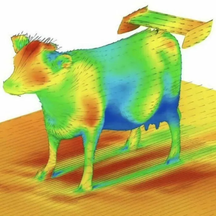 Gráfico colorido de aerodinámica aplicada al cuerpo de una vaca en memes divertidos de ciencia