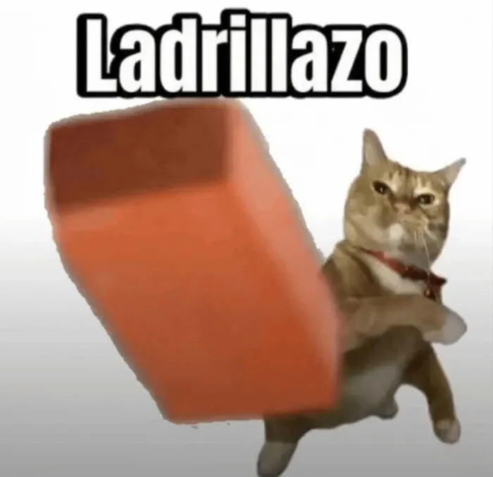 Gato de color naranja lanzando un bloque de construcción rojo en memes divertidos de internet