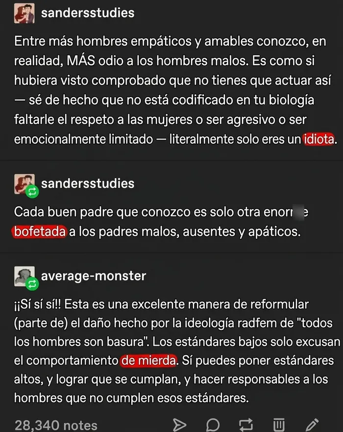 Texto sobre odio a hombres malos y estándares en redes sociales