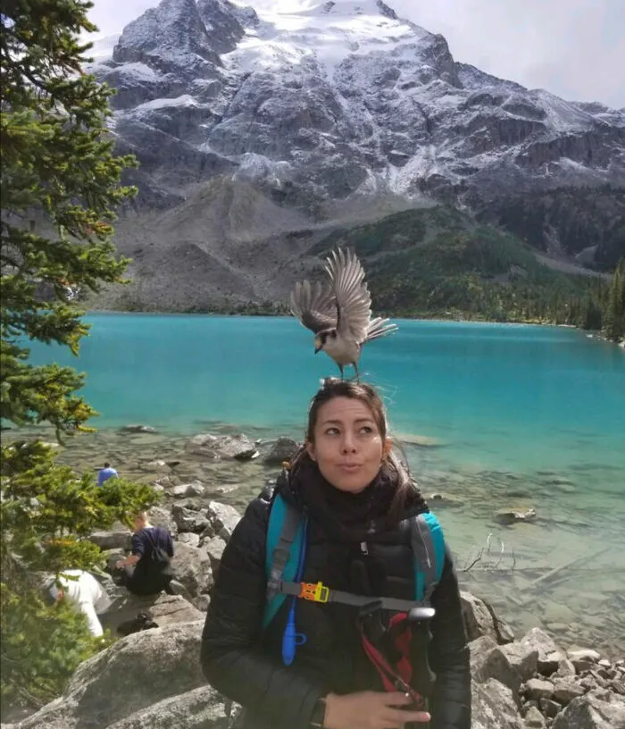 Pájaro posado en la cabeza de mujer con mochila junto a lago y montañas