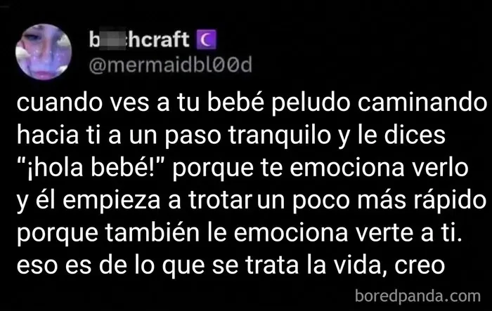 Mensaje emotivo sobre la alegría de ver a tu bebé peludo acercarse