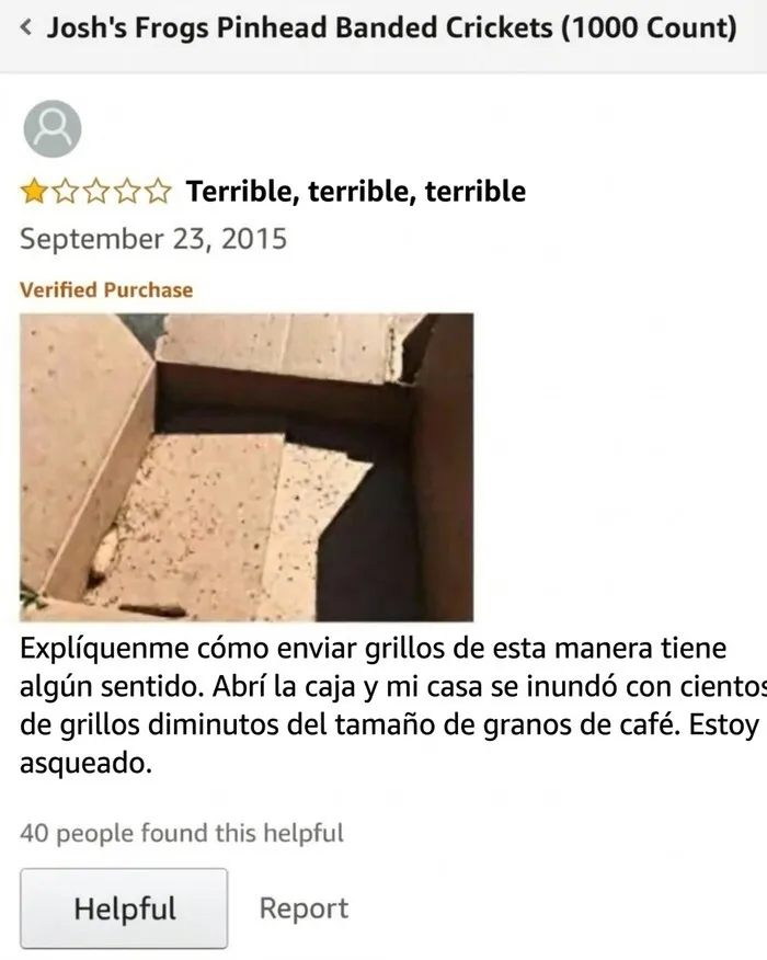 Reseña negativa sobre envío de grillos en Amazon reseñas divertidísimas