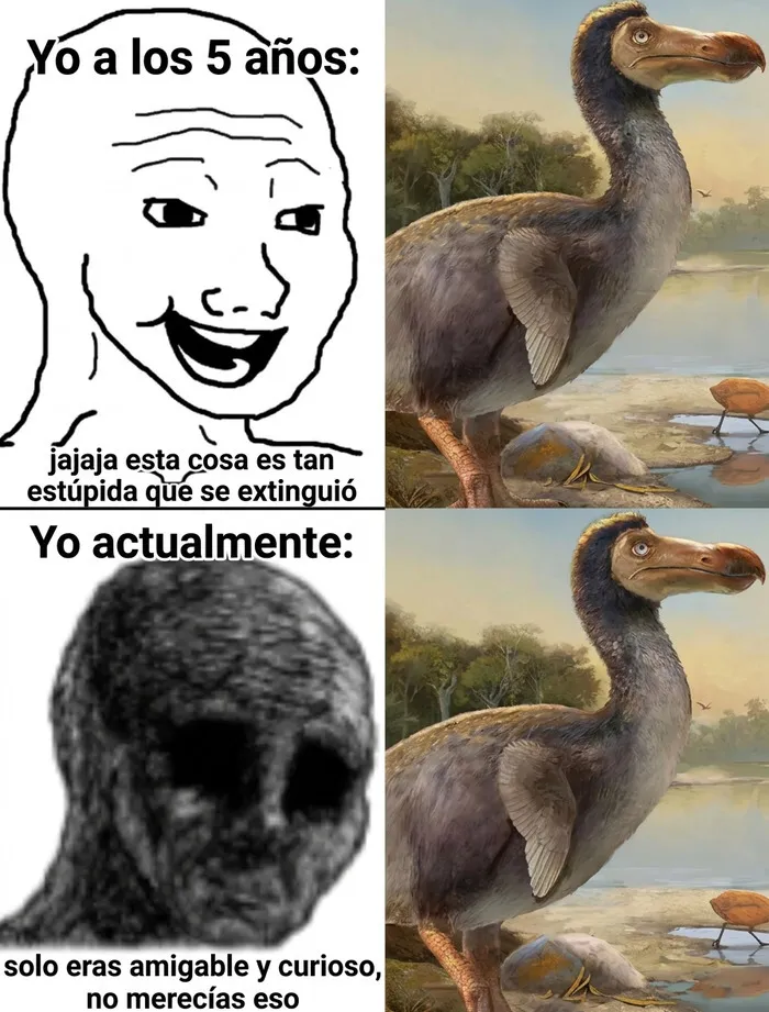 Meme sobre la extinción del dodo en una recopilación de memes y bromas divertidas.
