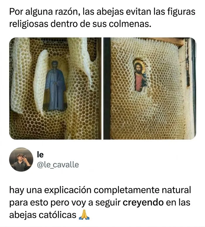 Meme sobre abejas y figuras religiosas en panales con explicación.