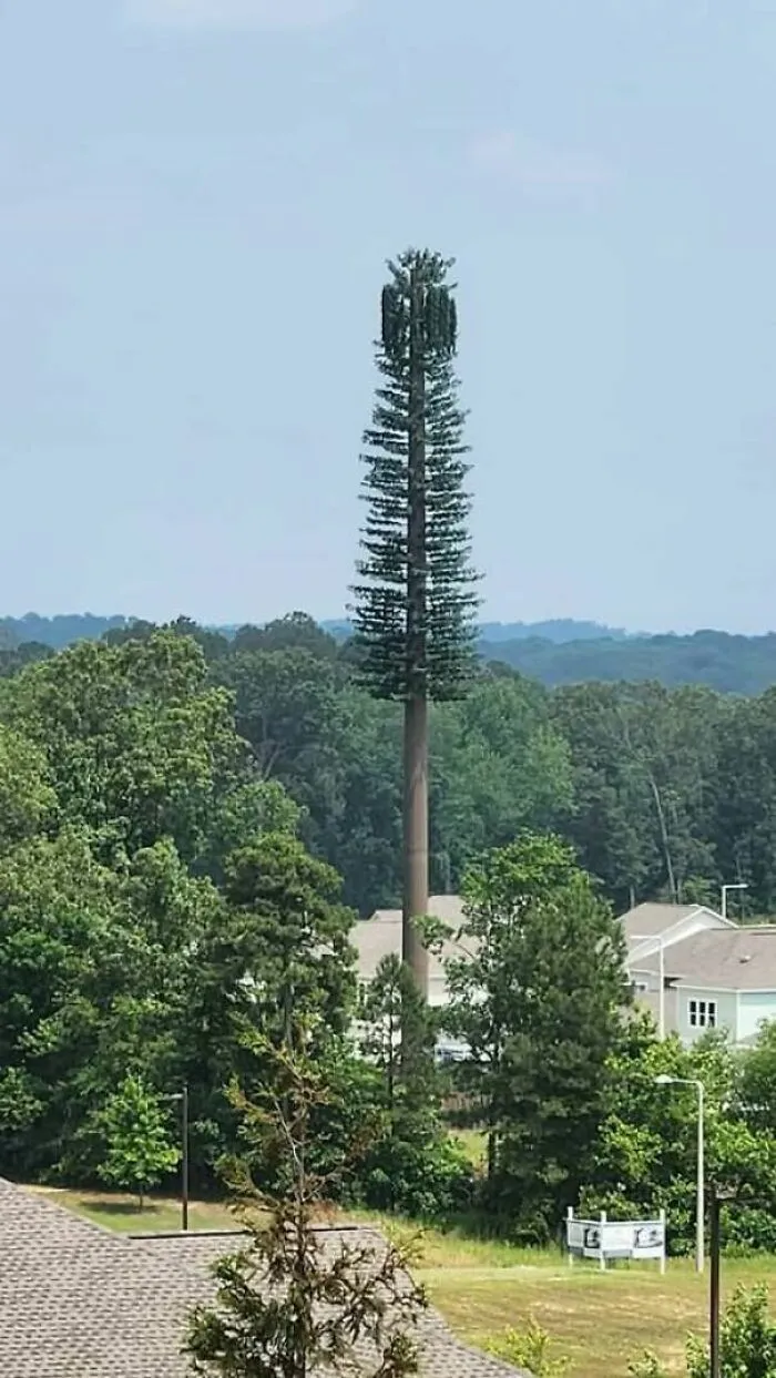 Una torre de telefonía disfrazada de árbol gigantesco que destaca por sus fallos de construcción en el diseño.