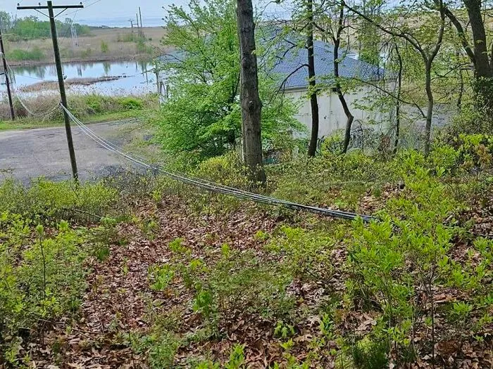 Poste de luz inclinado y caído en el bosque, muestra clara de fallos de construcción en infraestructura.