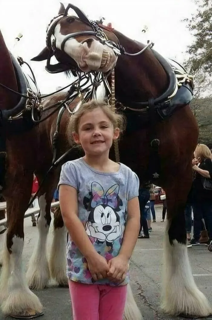 Un caballo asoma la cabeza sobre una niña sonriente en una de estas divertidas fotos.