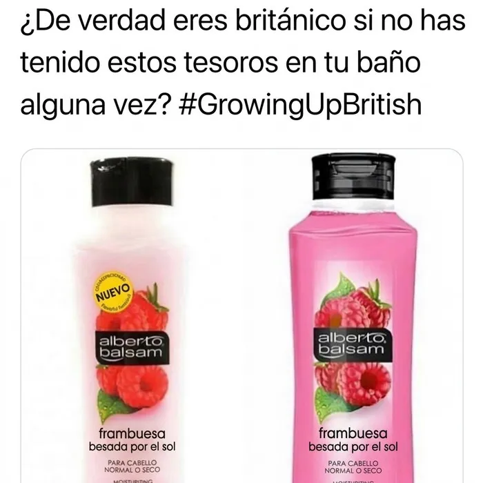 Dos botellas de champú Alberto Balsam como ejemplo en memes británicos.