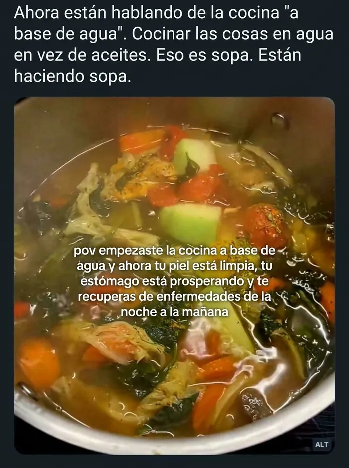 Comentario absurdo en redes sobre personas mostrando ignorancia en TikTok al llamar cocina a base de agua a la sopa.