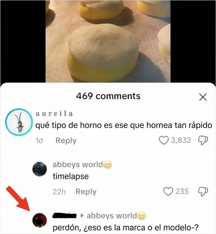 Usuario de TikTok confundiendo conceptos de cocina y demostrando su ignorancia en TikTok.