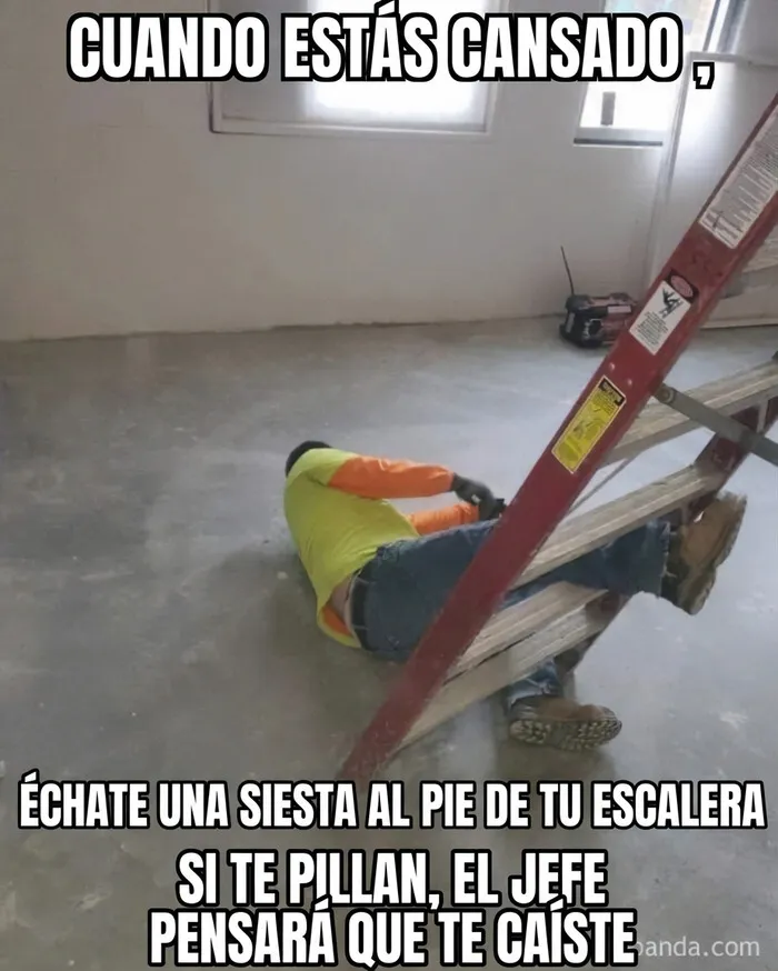 Trabajador durmiendo bajo una escalera, un gracioso meme sobre construcción.