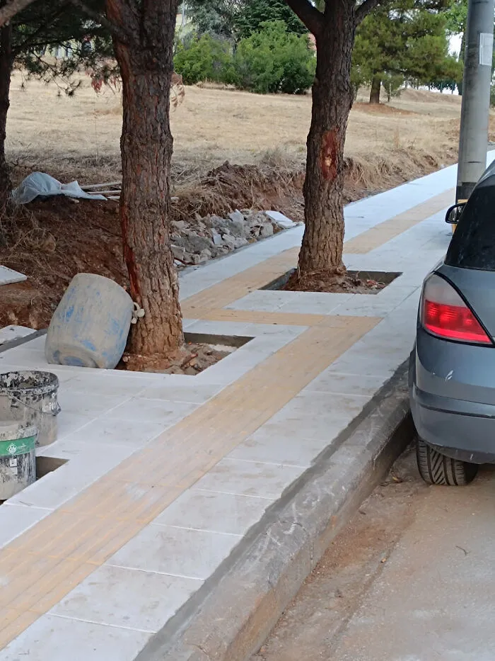 Arboles bloqueando el camino podotactil en la acera, muestra de absurdos fallos de diseno urbano.