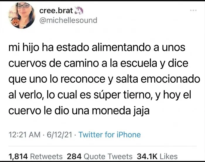 Publicaciones reconfortantes: Captura de mensaje sobre un cuervo que le regaló una moneda a un niño.