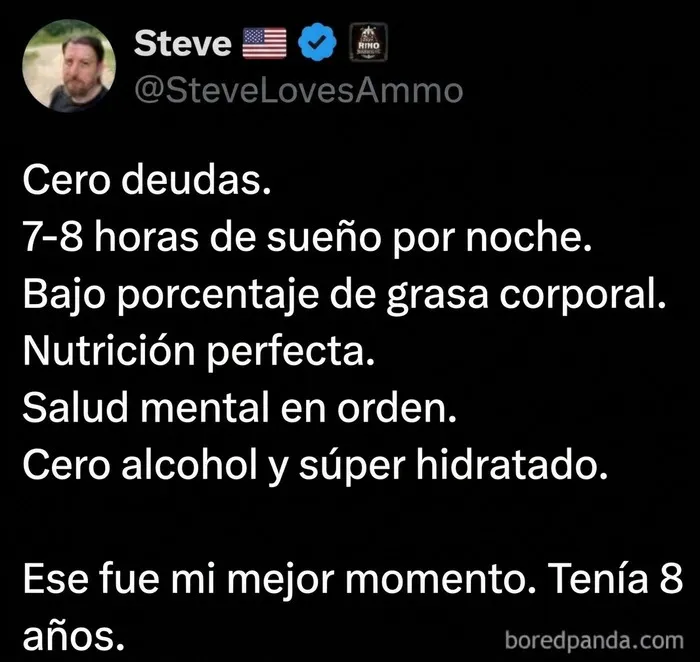 Captura de pantalla con texto irónico sobre la vida adulta, uno de los mejores memes para reír.
