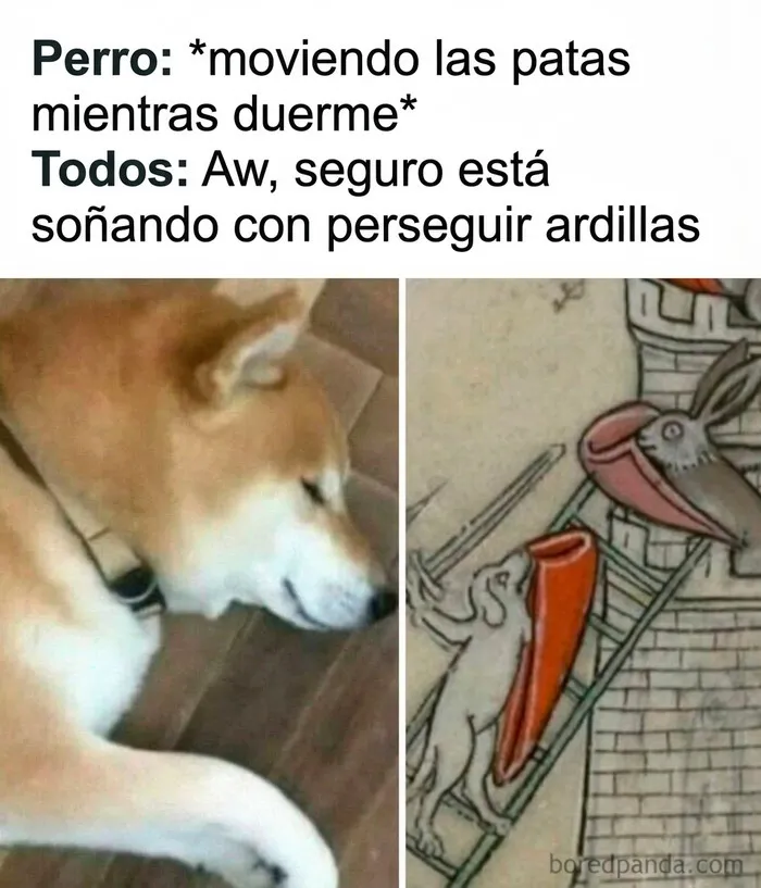 Meme de un perro durmiendo e ilustración medieval, perfecto entre los memes para olvidar los problemas y reír un rato.