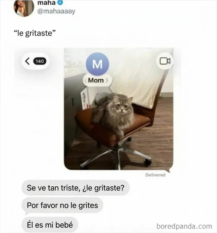 Meme gracioso de un gato triste sentado en una silla de oficina.