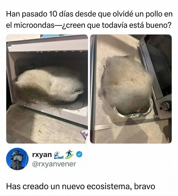 Pollo cubierto de moho en un microondas, parte de memes para reír.