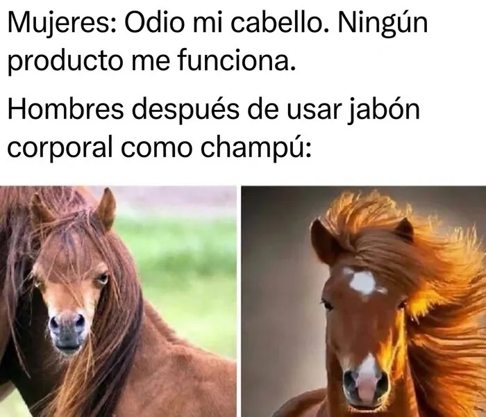 Meme divertido con caballos mostrando cabello sedoso y hábitos cuestionables de cuidado personal.