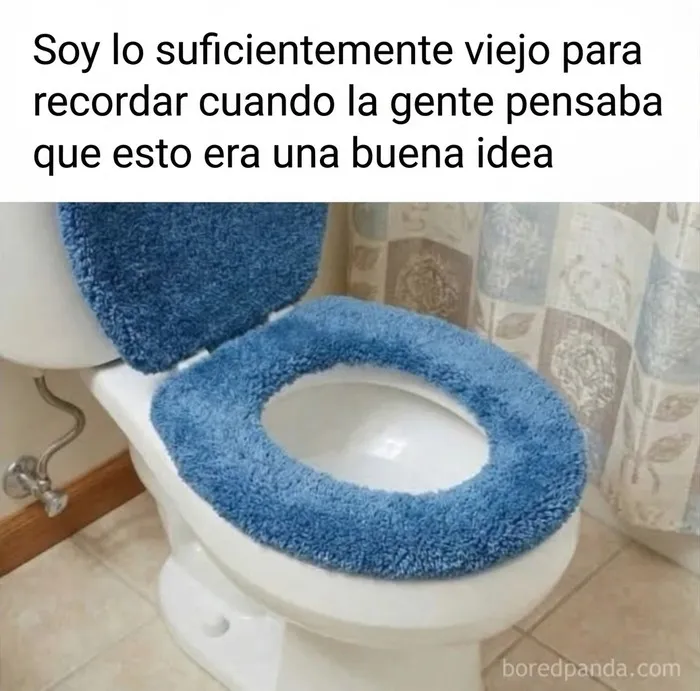 Meme divertido con un inodoro afelpado de azul que ilustra hábitos cuestionables de decoración del pasado.
