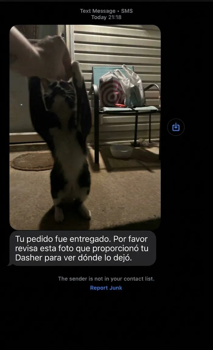 Foto de prueba de entrega de repartidores mostrando a un gato