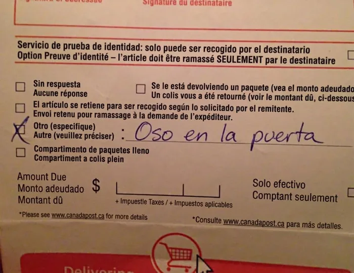 Nota de repartidores explicando que no entregaron el paquete por un oso en la puerta.