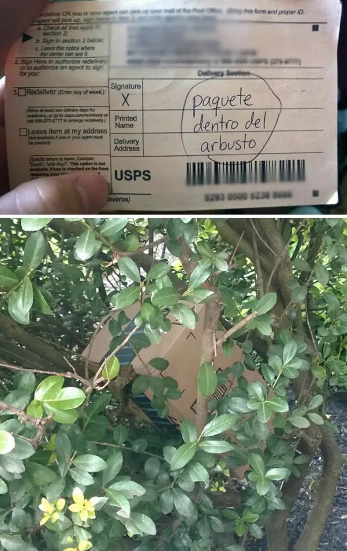 Nota de aviso de repartidores indicando que el paquete está escondido dentro de un arbusto.