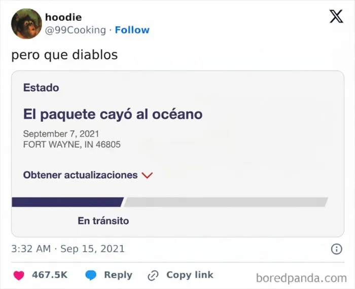 Captura de pantalla de un aviso de rastreo que dice que el paquete cayó al océano, una falla de repartidores.