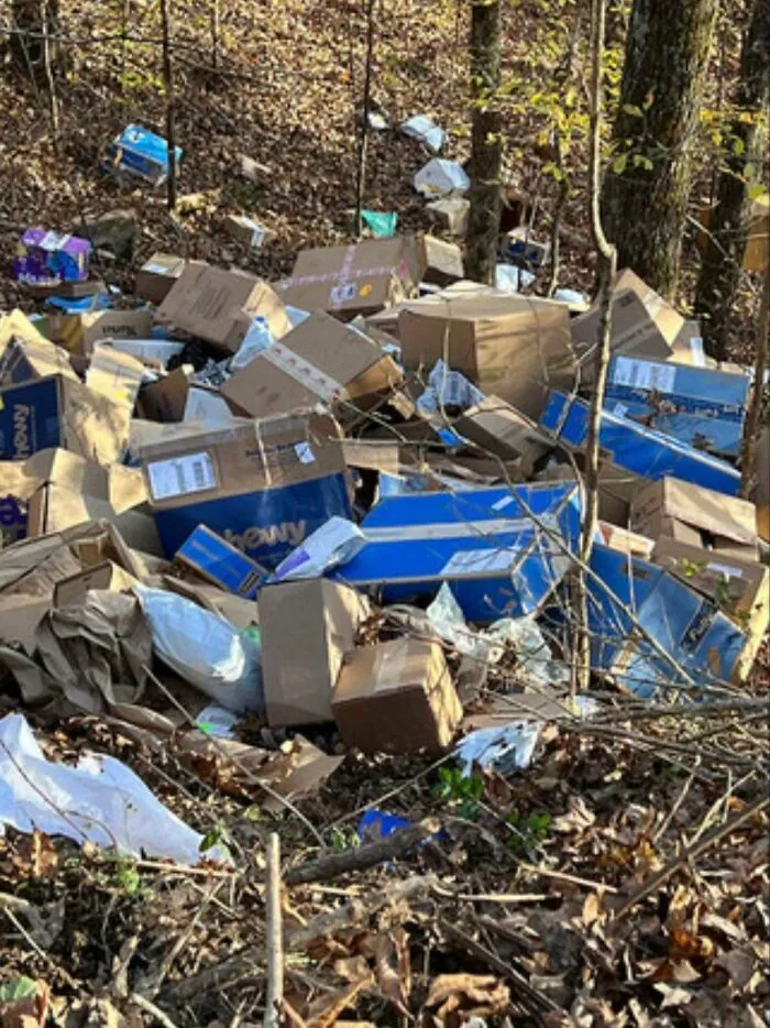 Pila de cajas de repartidores abandonadas en medio de un bosque.