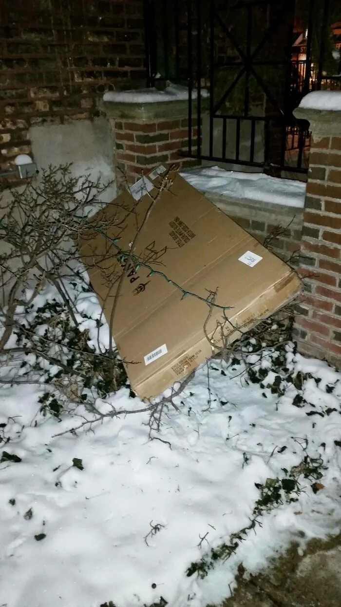 Paquete tirado en un matorral con nieve por repartidores despistados.
