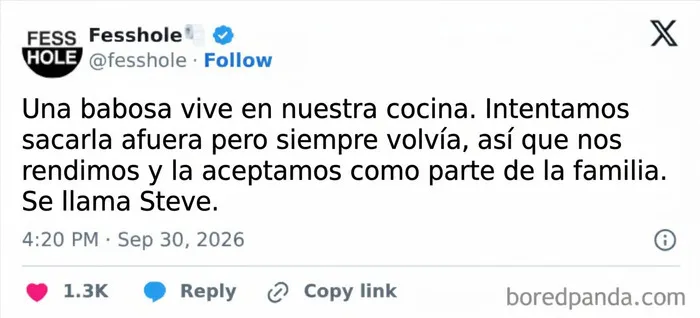 Publicación de Fesshole sobre una babosa mascota como parte de confesiones anónimas