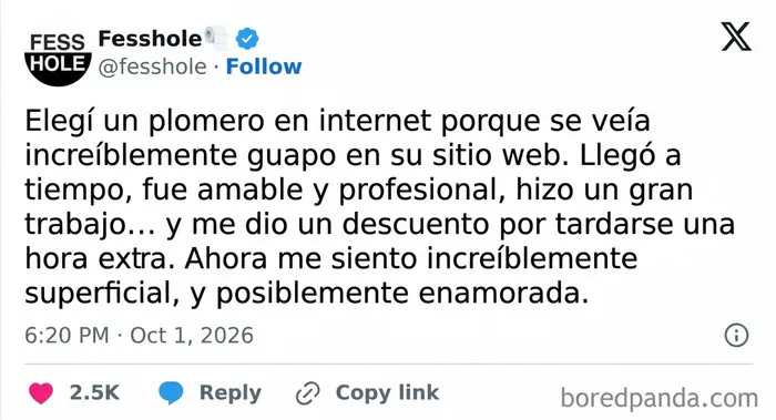 Texto de confesiones anónimas sobre contratar a un plomero guapo de internet