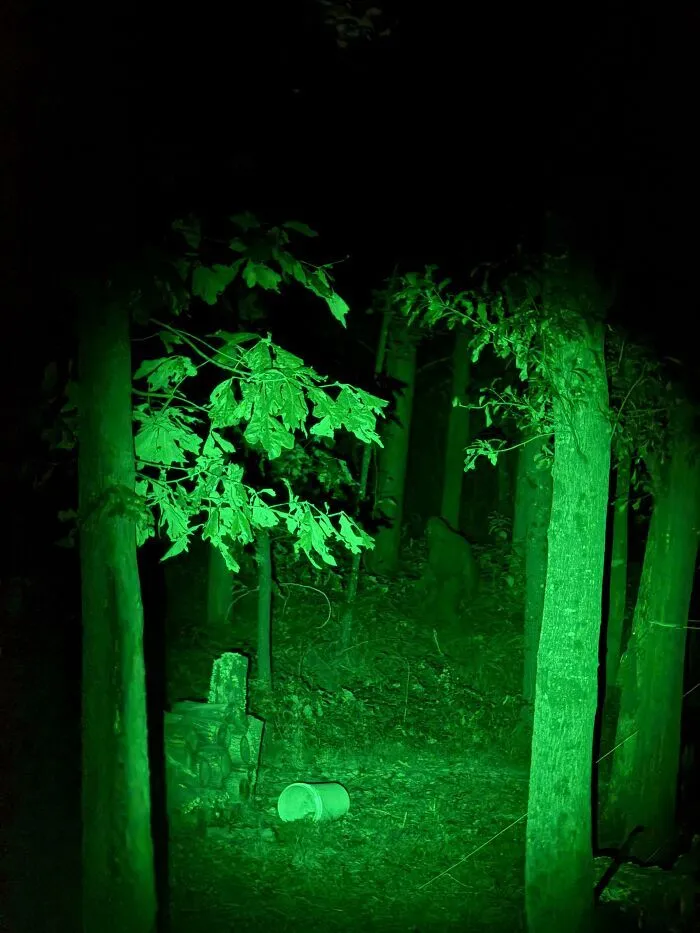 Fotografía nocturna en visión verde de un bosque con silueta extraña, dentro de las imágenes aterradoras nocturnas.