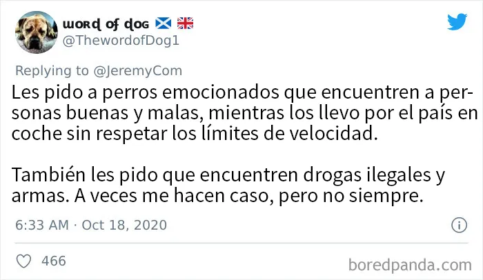 Se invitó a estas 20 personas a "explicar pésimamente cómo se ganan la vida", y no decepcionaron