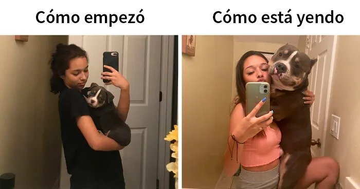 45 De las mejores reacciones de dueños de mascotas ante el desafío de "Cómo empezó" VS "Cómo acabó"