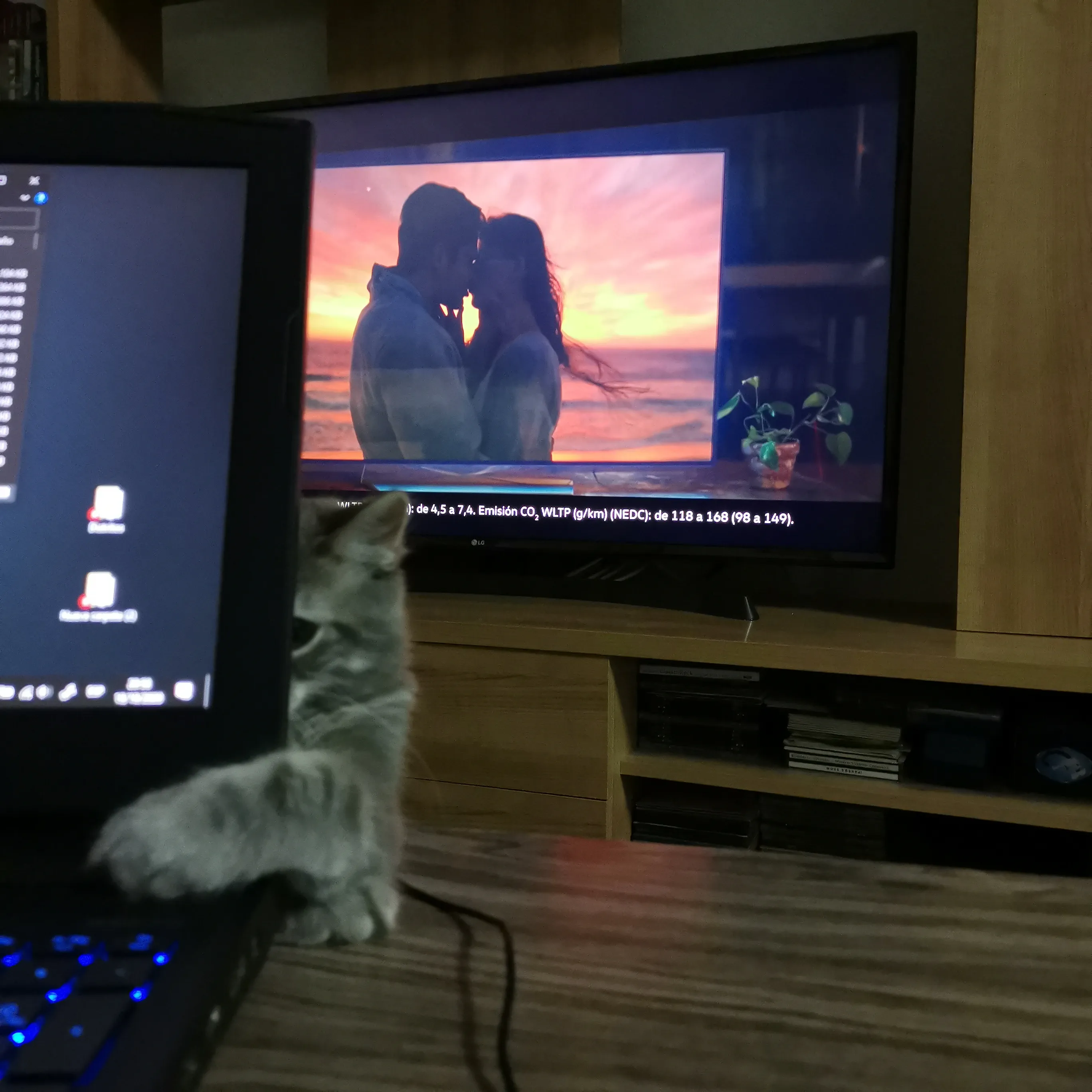 Pitou-Pitou,
mi Vida En Un Pequeño Instante
