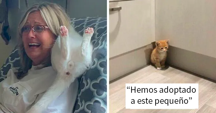 50 Fotos muy reconfortantes de mascotas rescatadas en el mes de Octubre