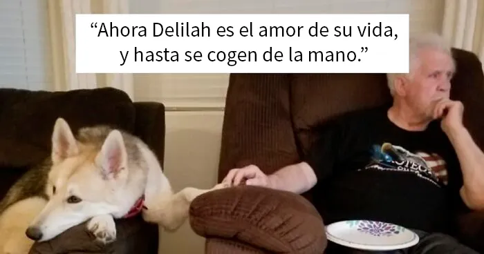 25 De las más reconfortantes respuestas al desafío "No quería un perro"